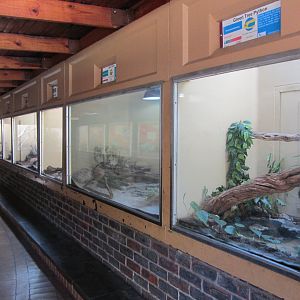General View of Reptile Exhibits
