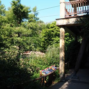 Cuban aviary (Sep 2nd, 2018)