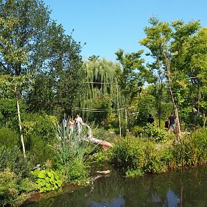 Nuboso exhibit (Sep 2nd, 2018)