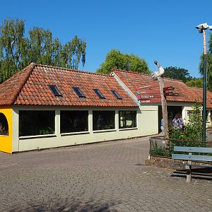 Nuboso building (Sep 2nd, 2018)