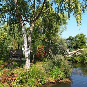 Nuboso exhibit (Sep 2nd, 2018)