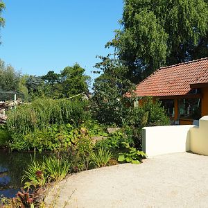 Nuboso exhibit (Sep 2nd, 2018)