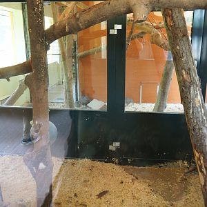 Nuboso - Part of indoor housing for birds and monkeys (Sep 2nd, 2018)