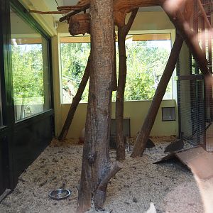 Nuboso bird and monkey indoor housing (Sep 2nd, 2018)