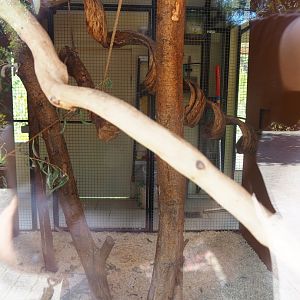 Nuboso bird and monkey indoor housing (Sep 2nd, 2018)