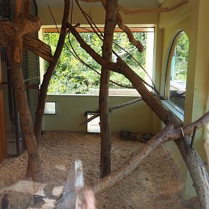 Nuboso bird and monkey indoor housing (Sep 2nd, 2018)