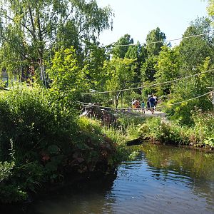 Nuboso exhibit (Sep 2nd, 2018)