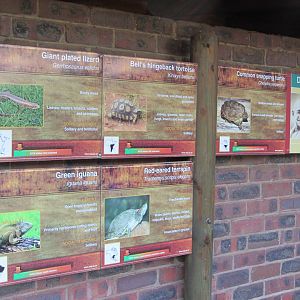 Mixed Species Reptile Exhibit Signage