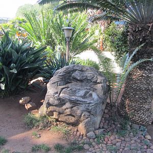 Mixed Species Reptile Exhibit