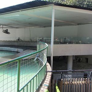 Part of the African Penguin Exhibit