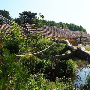 Nuboso exhibit (Sep 2nd, 2018)