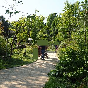 Nuboso exhibit (Sep 2nd, 2018)