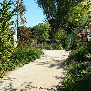 Nuboso exhibit (Sep 2nd, 2018)