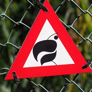 Little sign warning of beaks (Sep 2nd, 2018)