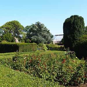 View of gardens (Sep 2nd, 2018)