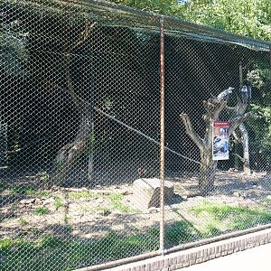 Vulture aviary (Sep 2nd, 2018)