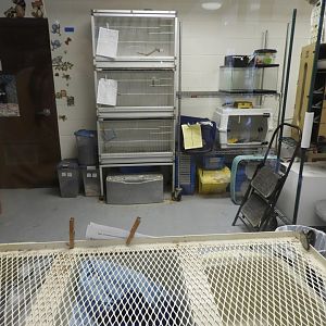 Animal rehabilitation center