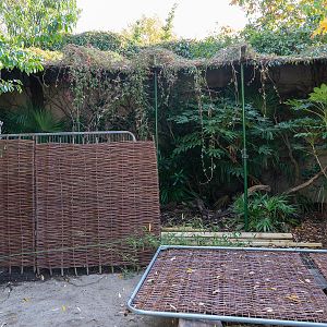 Aviary Development - 27/10/2018