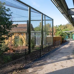 Madagascar Exhibit - 27/10/2018