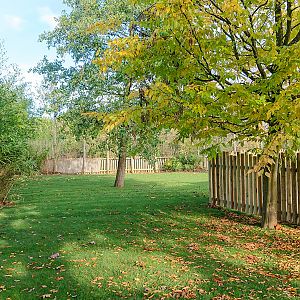 Treetop Challenge - 27/10/2018