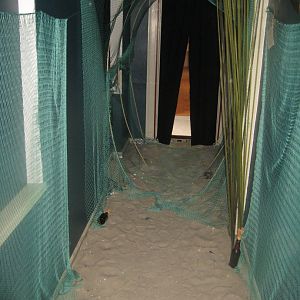 Limfjordsmuseet - The harbormaster's house - Exhibition