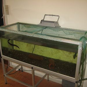 Limfjordsmuseet - The harbormaster's house - Exhibition