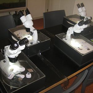 Limfjordsmuseet - The harbormaster's house - Exhibition