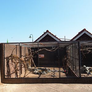 Block of old parakeet aviaries (Sep 2nd, 2018)