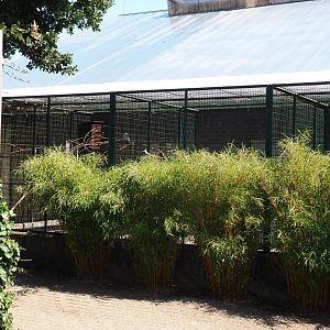 Behind-the-scenes aviaries (Sep 2nd, 2018)