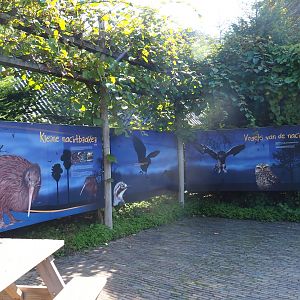 Nocturnal birds signs (Sep 2nd, 2018)