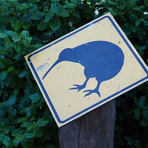 Kiwi sign (Sep 2nd, 2018)