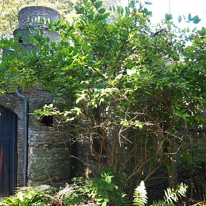 Castle seen from the European owls - Ring-necked pheasant aviary (Sep 2nd, 2018)