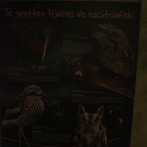 Night Safari species sign (Sep 2nd, 2018)