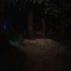 View in the Night Safari (Sep 2nd, 2018)