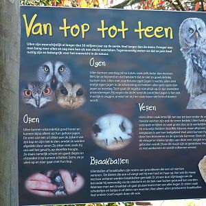 Owls education sign (Sep 2nd, 2018)