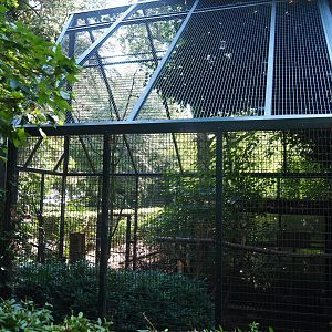 Empty and unsigned aviary (Sep 2nd, 2018)