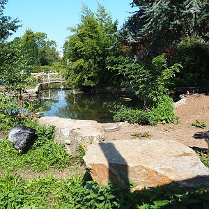 Waterfowl exhibit (Sep 2nd, 2018)