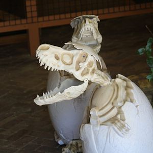 T. rex Egg Models