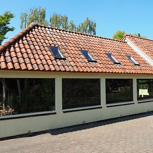 Nuboso house - Songbird exhibits (Sep 2nd, 2018)