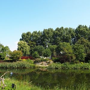 Big pond seen from the flight show stands (Sep 2nd, 2018)