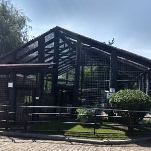 Asiatic Black Bear Cage