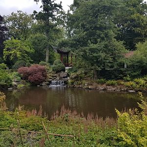 View into Chinese Garden