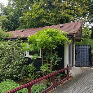 Typical Blijdorp-shed