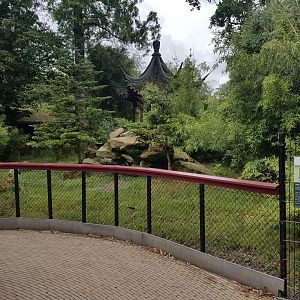 One of the Tuffed deer-enclosures