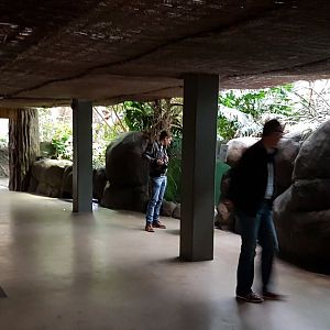 Row of enclosures - Oceanium