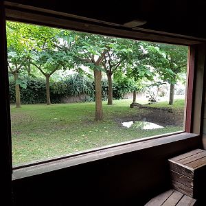 Viewing-window Oudoor-enclosure Galapagos tortoise