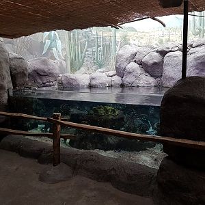 Sea of Cortez aquarium