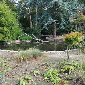 Waterfowl exhibit (Sep 2nd, 2018)