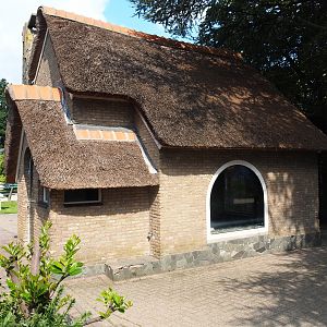 Silkie fowl house (Sep 2nd, 2018)