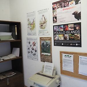 Miscellaneous Philippines-related signs and items (Sep 2nd, 2018)